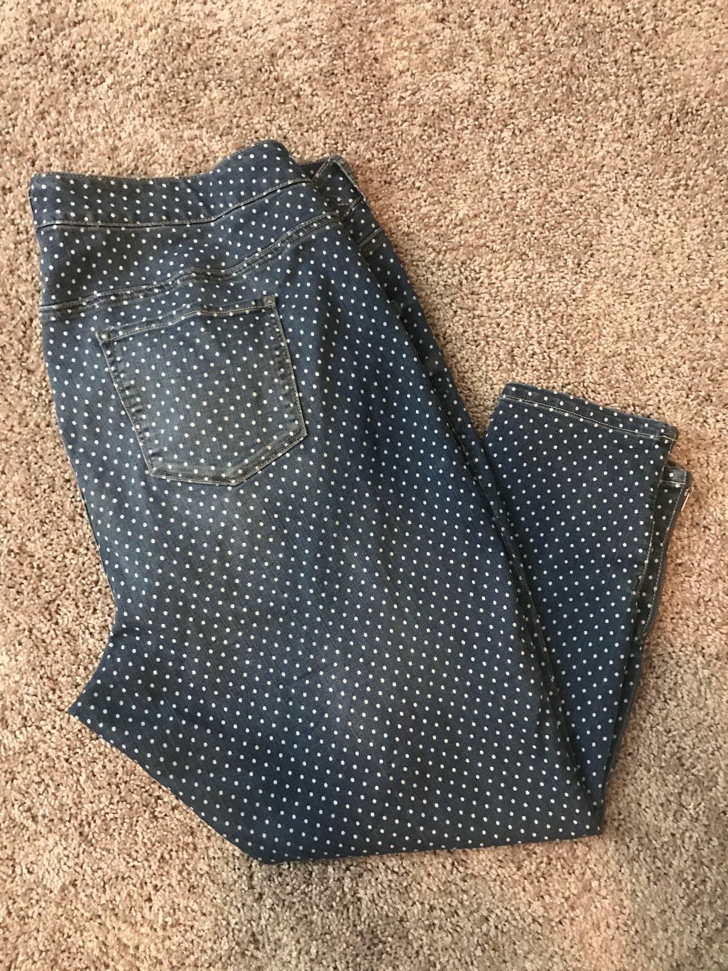 Torrid Pola Skinny Jeans: Sz 24